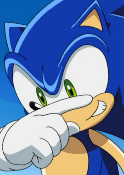 Sonic the Hedgehog (Sonic X) photo