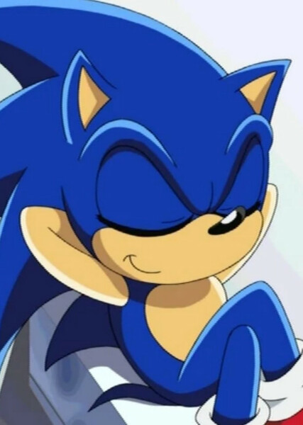 Sonic the Hedgehog (Sonic X) photo