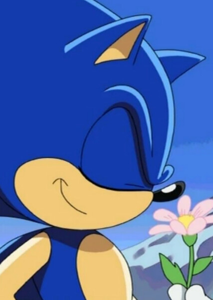 Sonic the Hedgehog (Sonic X) photo