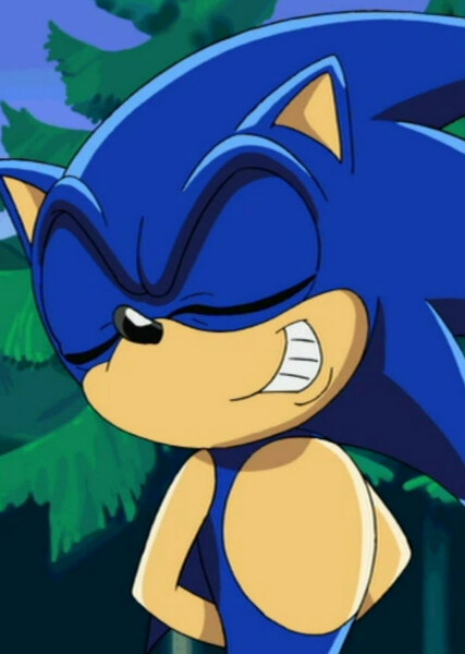 Sonic the Hedgehog (Sonic X) photo