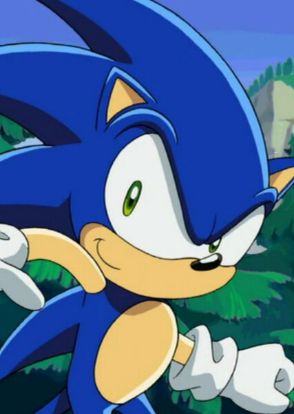 Sonic the Hedgehog (Sonic X) photo
