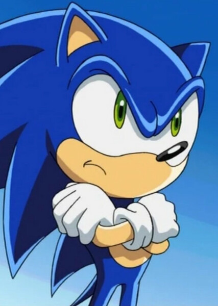 Sonic the Hedgehog (Sonic X) photo