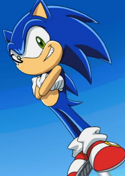 Sonic the Hedgehog (Sonic X) photo