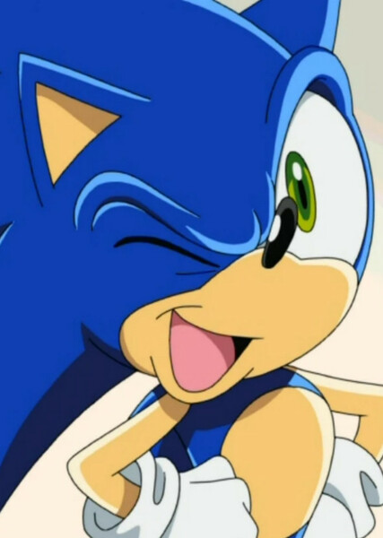 Sonic the Hedgehog (Sonic X) photo