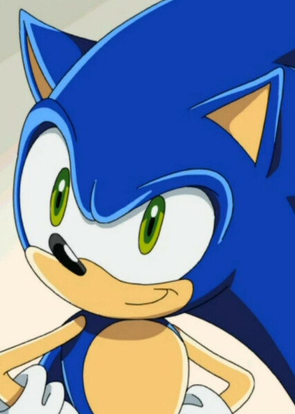 Sonic the Hedgehog (Sonic X) photo