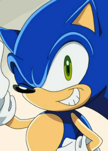 Sonic the Hedgehog (Sonic X) photo