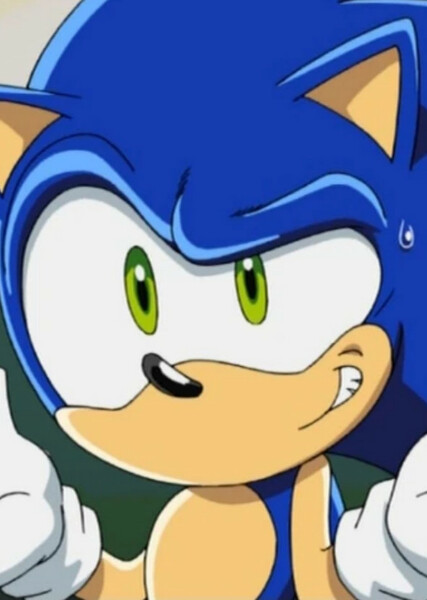 Sonic the Hedgehog (Sonic X) photo