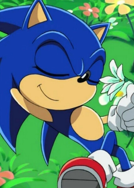 Sonic the Hedgehog (Sonic X) photo