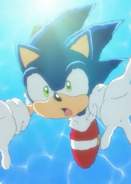 Sonic the Hedgehog (Sonic X) photo