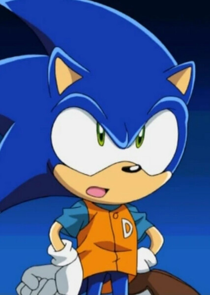 Sonic the Hedgehog (Sonic X) photo