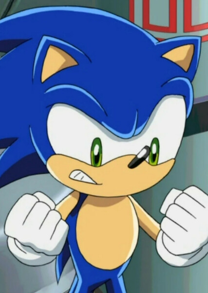 Sonic the Hedgehog (Sonic X) photo