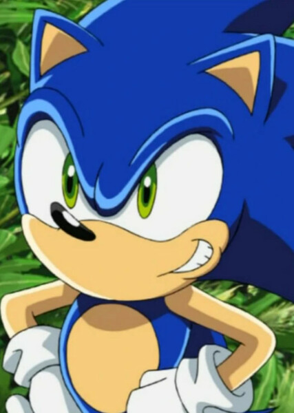 Sonic the Hedgehog (Sonic X) photo