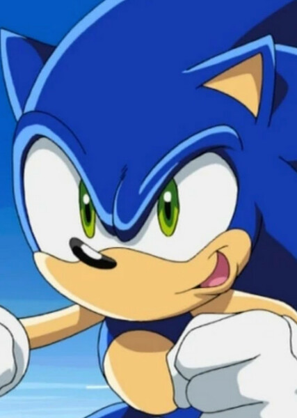 Sonic the Hedgehog (Sonic X) photo