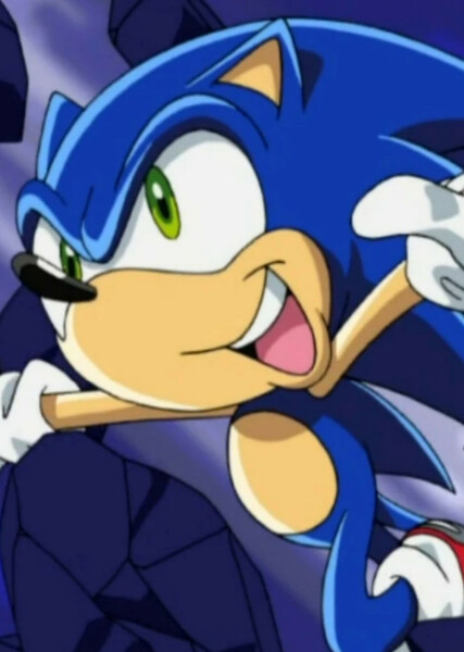 Sonic the Hedgehog (Sonic X) photo