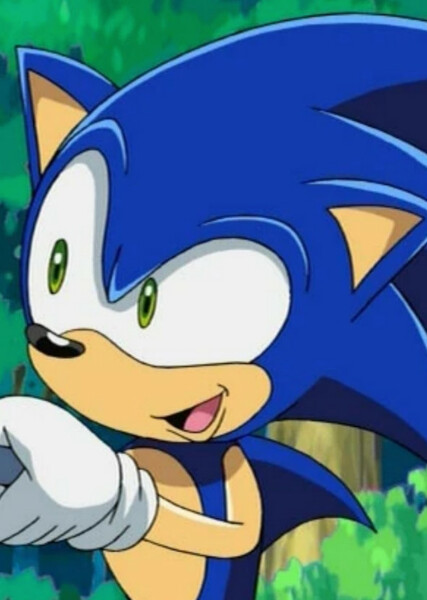 Sonic the Hedgehog (Sonic X) photo