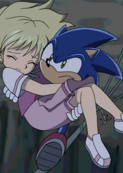Sonic the Hedgehog (Sonic X) photo