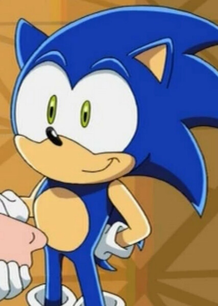Sonic the Hedgehog (Sonic X) photo
