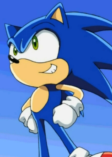 Sonic the Hedgehog (Sonic X) photo