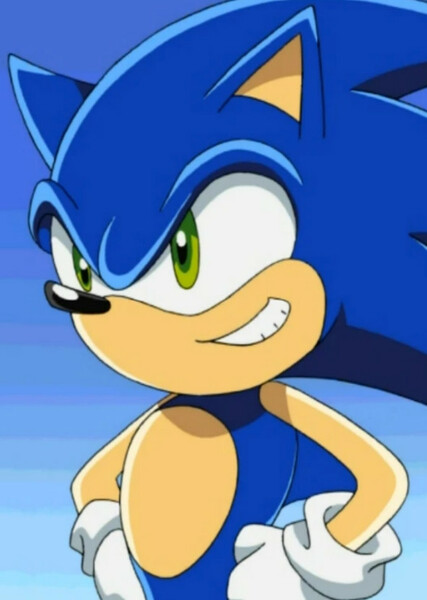 Sonic the Hedgehog (Sonic X) photo