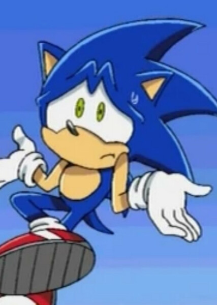 Sonic the Hedgehog (Sonic X) photo