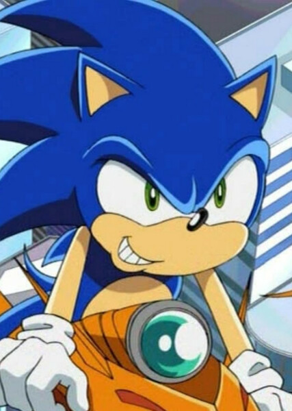 Sonic the Hedgehog (Sonic X) photo