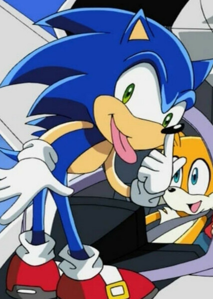 Sonic the Hedgehog (Sonic X) photo