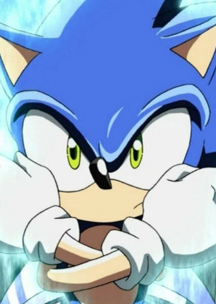 Sonic the Hedgehog (Sonic X) photo