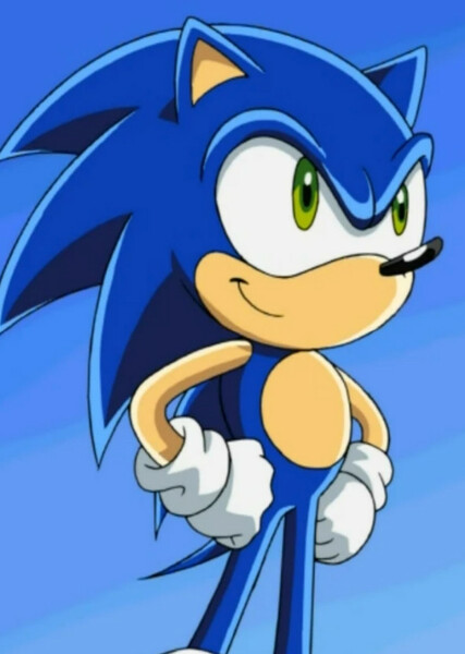 Sonic the Hedgehog (Sonic X) photo