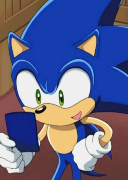 Sonic the Hedgehog (Sonic X) photo