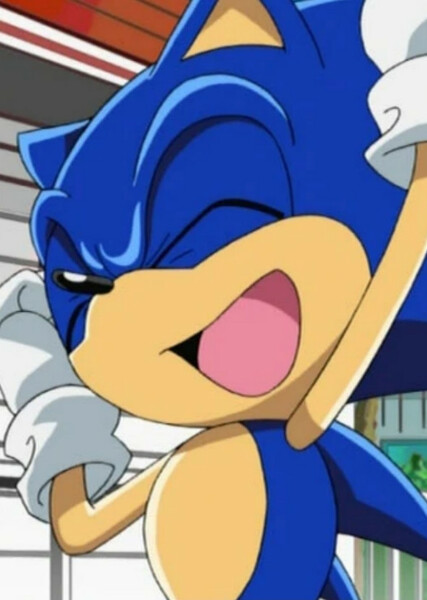 Sonic the Hedgehog (Sonic X) photo