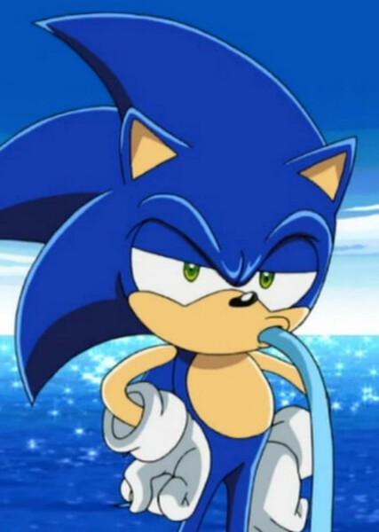 Sonic the Hedgehog (Sonic X) photo