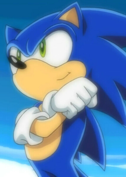 Sonic the Hedgehog (Sonic X) photo