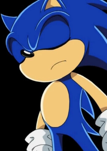 Sonic the Hedgehog (Sonic X) photo