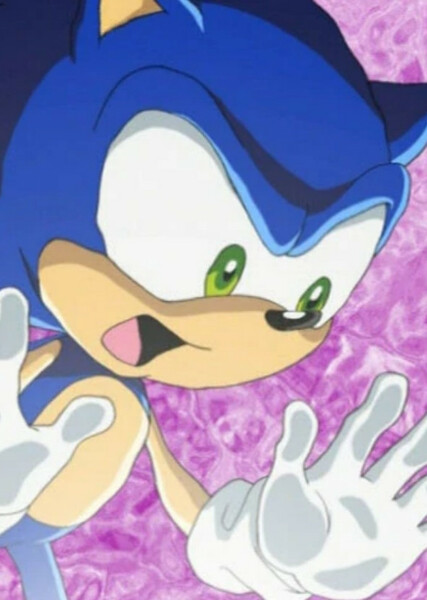 Sonic the Hedgehog (Sonic X) photo