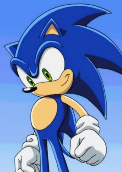 Sonic the Hedgehog (Sonic X) photo