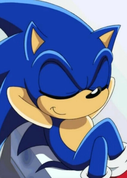 Sonic the Hedgehog (Sonic X) photo