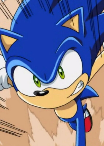 Sonic the Hedgehog (Sonic X) photo