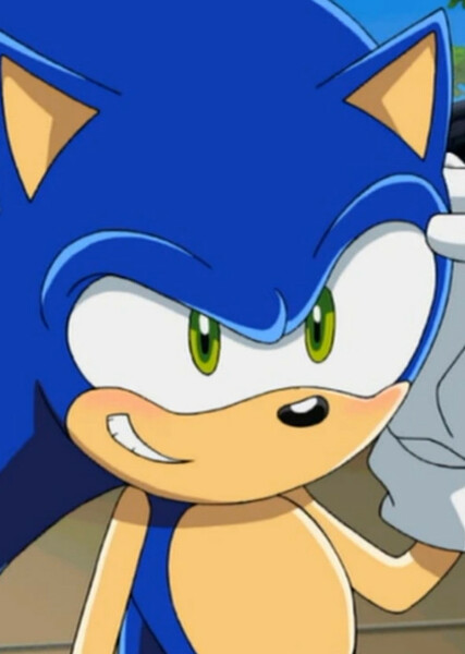 Sonic the Hedgehog (Sonic X) photo