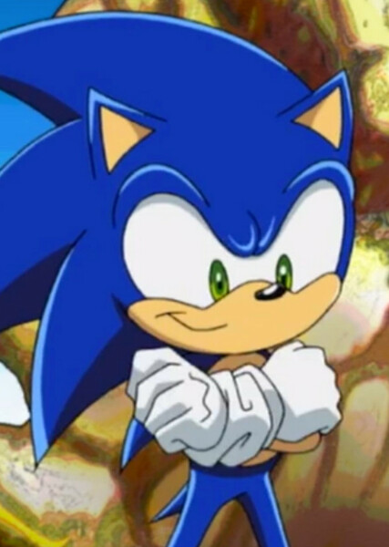 Sonic the Hedgehog (Sonic X) photo