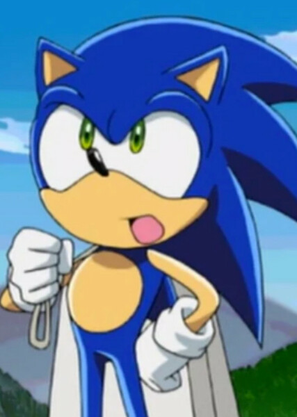 Sonic the Hedgehog (Sonic X) photo