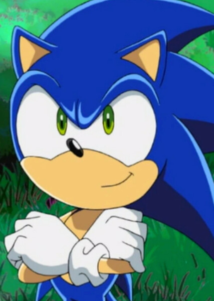 Sonic the Hedgehog (Sonic X) photo
