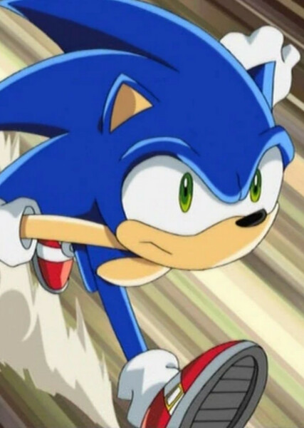 Sonic the Hedgehog (Sonic X) photo