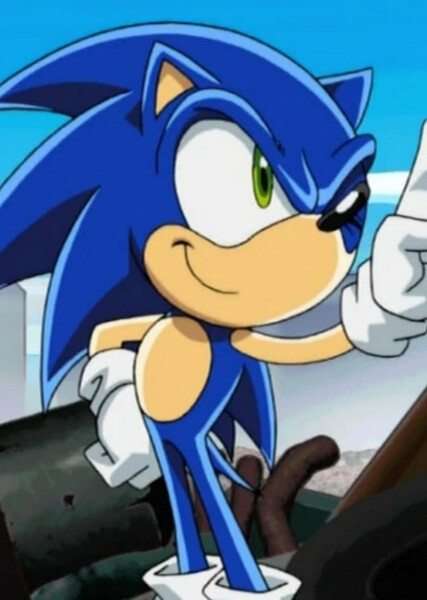 Sonic the Hedgehog (Sonic X) photo