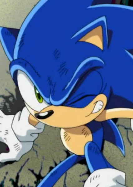 Sonic the Hedgehog (Sonic X) photo