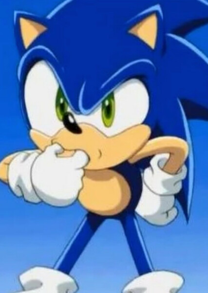Sonic the Hedgehog (Sonic X) photo