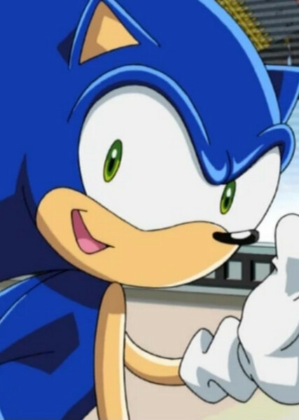 Sonic the Hedgehog (Sonic X) photo