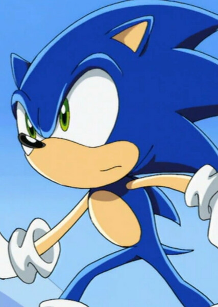 Sonic the Hedgehog (Sonic X) photo