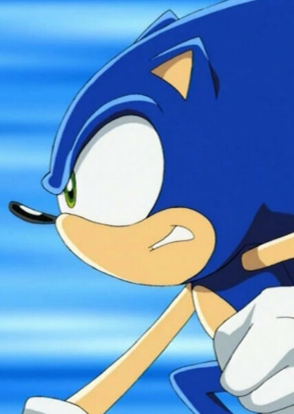 Sonic the Hedgehog (Sonic X) photo