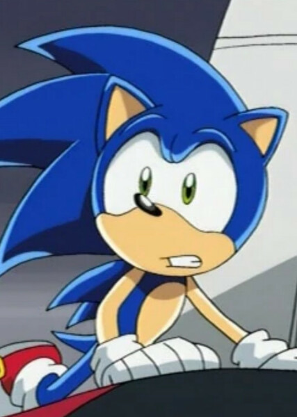 Sonic the Hedgehog (Sonic X) photo