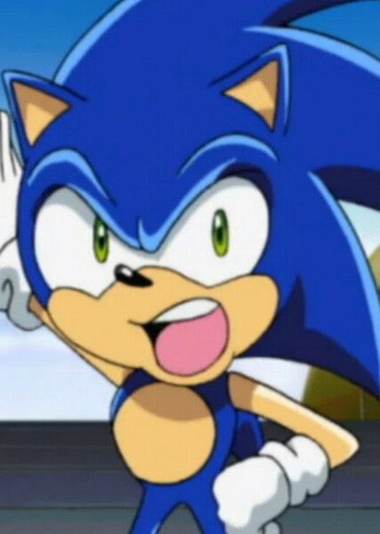 Sonic the Hedgehog (Sonic X) photo